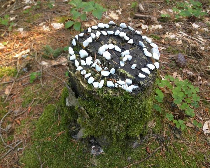 Waldschanke Bayrische Schanz